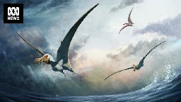 Outback fossil find confirms giant 'demonic pelicans' filled Australia's skies 100 million years ago