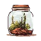 terrariums