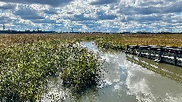 Measuring and modeling methane emissions in wetlands