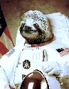 astronaut_sloth