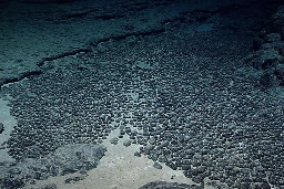 Dark oxygen: New deep sea expedition to explore mysterious discovery