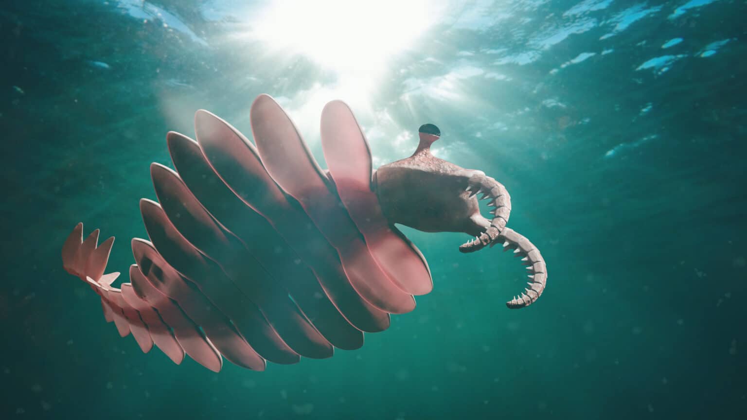 Prehistoric Creature Feature!! Spotlight on Anomalocaris