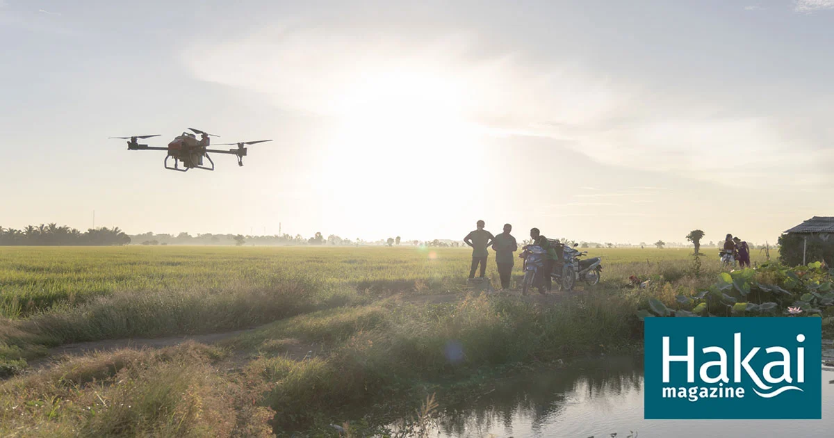 Rice Farming Gets an AI Upgrade | Hakai Magazine