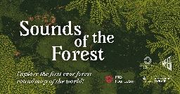 Sounds of the Forest - Soundmap :: Timber Festival
