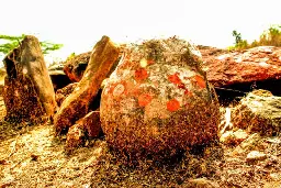 Stones worshipped by Indian villagers turn out to be dinosaur eggs
