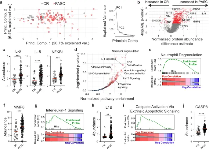 Chronic inflammation, neutrophil activity, and autoreactivity splits long COVID - Nature Communications
