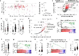 Chronic inflammation, neutrophil activity, and autoreactivity splits long COVID - Nature Communications