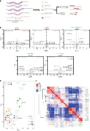 Tissue-specific profiling of age-dependent miRNAomic changes in Caenorhabditis elegans - Nature Communications
