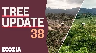 Tree Update #38 | Awesome news from Indonesia