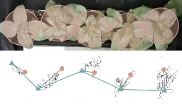 Why do plants wiggle? New study provides answers