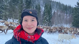 ‘Our bodies know the pain’: Why Norway’s reindeer herders want Gaza peace