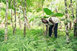 Restoring wildlife habitats in wealthy nations could drive extinctions in species-rich regions