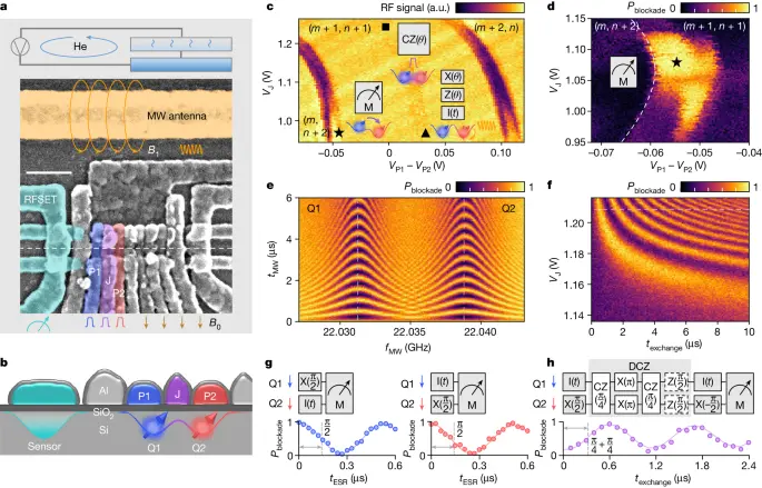 High-fidelity spin qubit operation and algorithmic initialization above 1 K - Nature