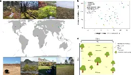 The global contribution of soil mosses to ecosystem services - Nature Geoscience