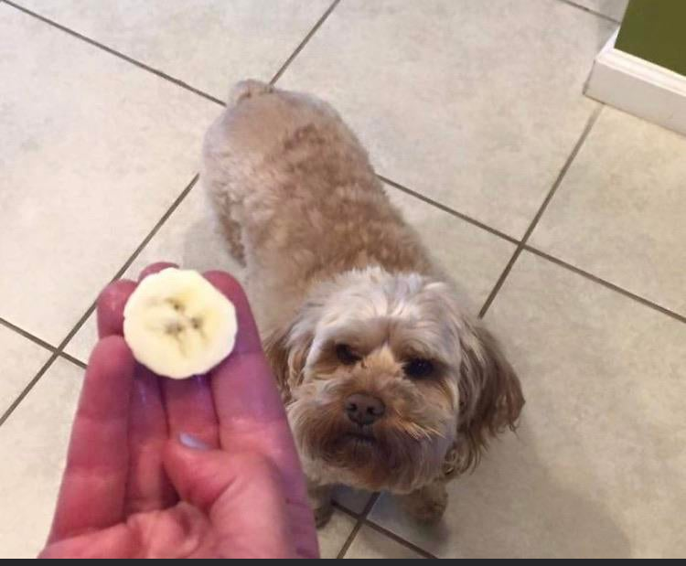 The face of Jesus appeared in a banana