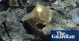 Mysterious ‘skin-like’ golden orb found on ocean floor off Alaska coast