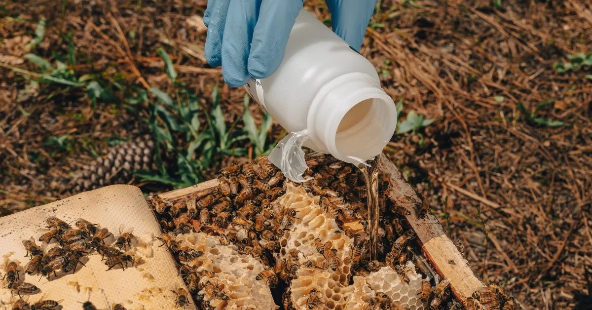 How the Tech Behind a COVID-19 Vaccine is Helping Save Bees