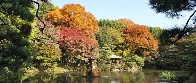 Japan’s 72 Microseasons