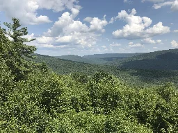 Trees struggle to 'breathe' as climate warms, researchers find