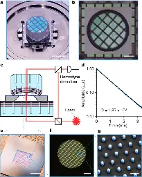 Room-temperature quantum optomechanics using an ultralow noise cavity - Nature