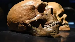 Are Neanderthals and Homo sapiens the same species?