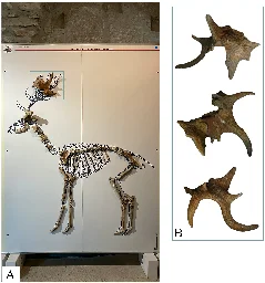 Mammalian fossils reveal how southern Europe's ecosystem changed during the Pleistocene