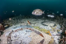 Divers Discover Mesmerizing Roman Mosaic Beneath the Sea