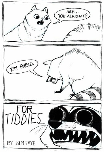 A three panel drawing of a cat and a racoon. The cat asks the racoon: "Hey... Are you alright?" And the racoon answers: "I'm rabid. FOR TIDDIES!"