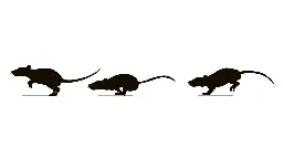 Winners and Losers in Extending Mouse Lifespan | Lifespan.io