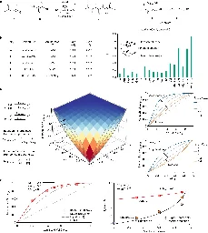 How molecular 'handedness' emerged in early biology