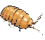 isopodmyriapod