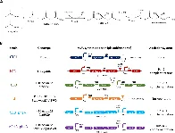 Enhancing microbe memory to better upcycle excess CO2