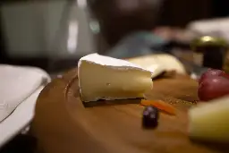 Plant-Based Casein for “Real” Vegan Cheese | Happy Eco News
