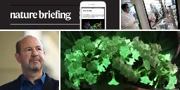 Daily briefing: Want a glowing houseplant? Now you can buy one