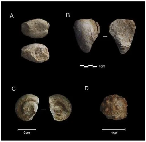 Fossil collection found in Neanderthal cave suggests abstract thinking