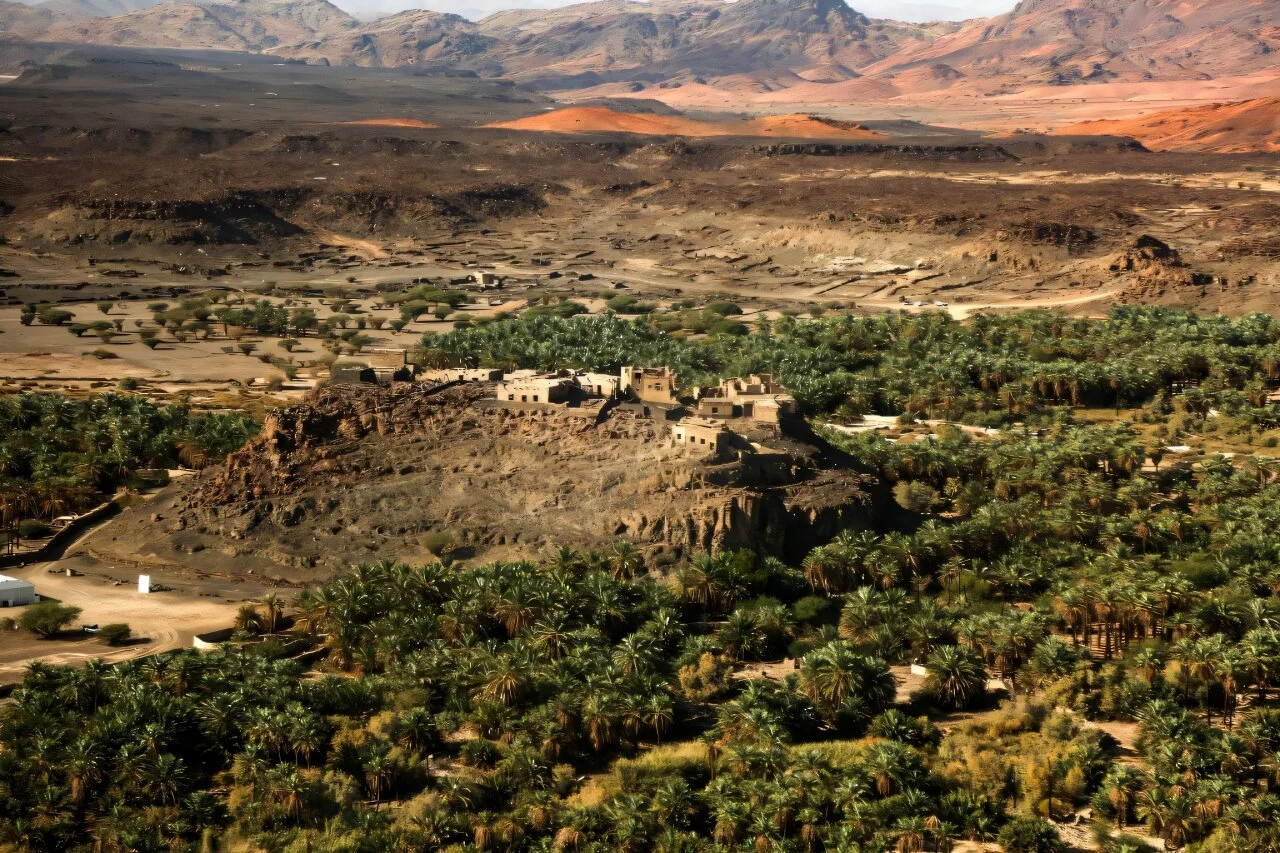 4,000-year-old town discovered hidden in Arabian oasis