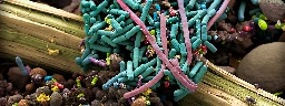 The growing link between microbes, mood and mental health