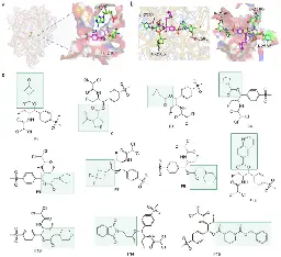 A synthetic antibiotic class with a deeply-optimized design for overcoming bacterial resistance - Nature Communications