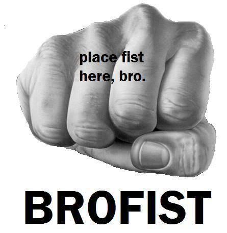 "Brofist" image reaction, showing a closed first with the words "place fist here, bro".