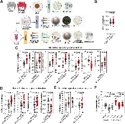 Distinct intestinal microbial signatures linked to accelerated systemic and intestinal biological aging - Microbiome