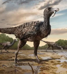Footprints of Giant Troodontid Dinosaur Found in China | Sci.News