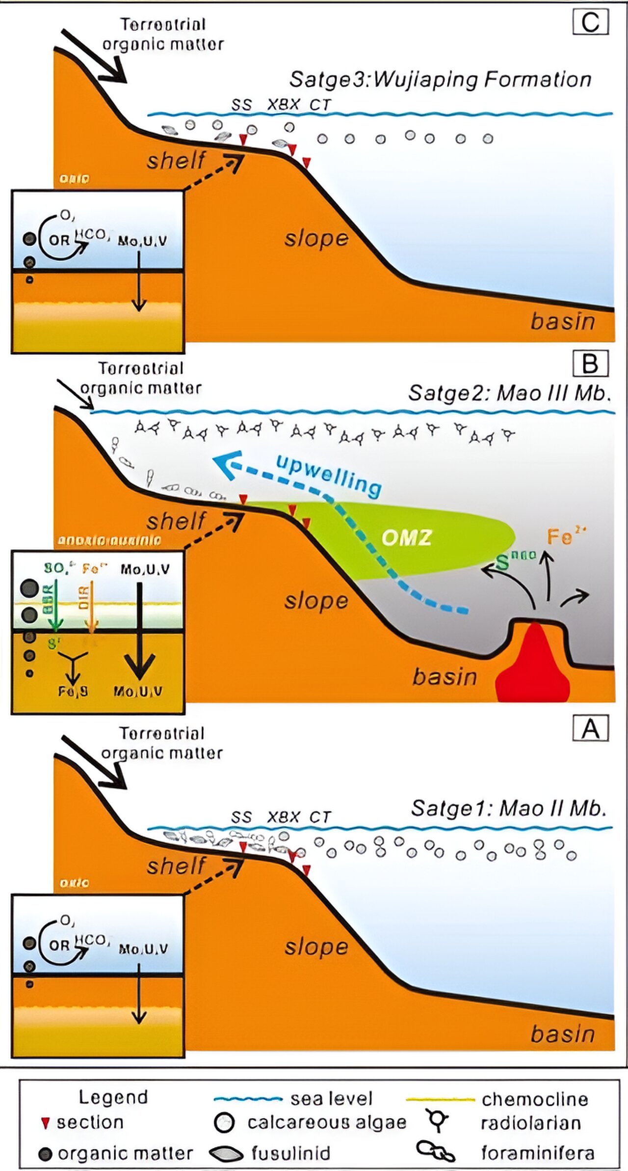 Permian marine mass extinction linked to volcanism-induced anoxia