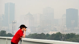 Montreal has poorest air quality in the world due to wildfire smoke