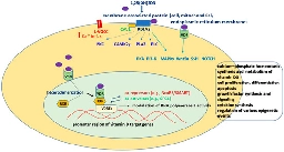 The Vitamin D Receptor as a Potential Target for the Treatment of Age-Related Neurodegenerative Diseases Such as Alzheimer’s and Parkinson’s Diseases: A Narrative Review