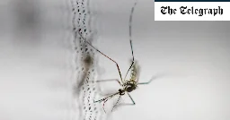 Unprecedented outbreak of dengue surges across Brazil
