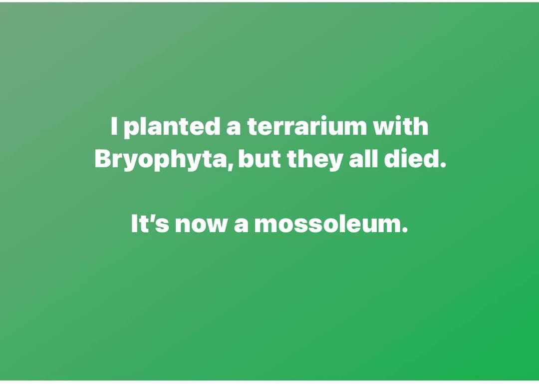 Rip Bryophites