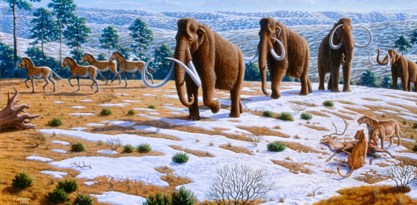 Forensic Evidence Suggests Paleo-Americans Hunted Mastodons, Mammoths ...