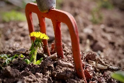 The Power of Weeds to End Hunger in an Uncertain Climate