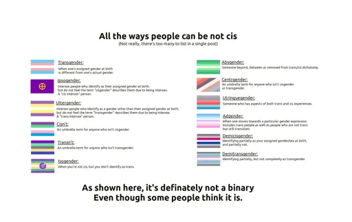 Infographic about gender modalities, see post body for detailed descriptions.