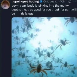 the background blur